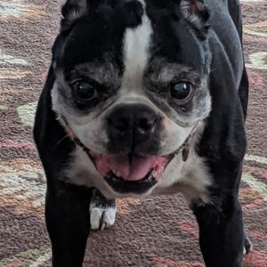 Meet your Posher, Geraldine